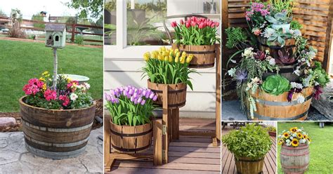 steel barrel flower box|27 Barrel Planter Ideas .